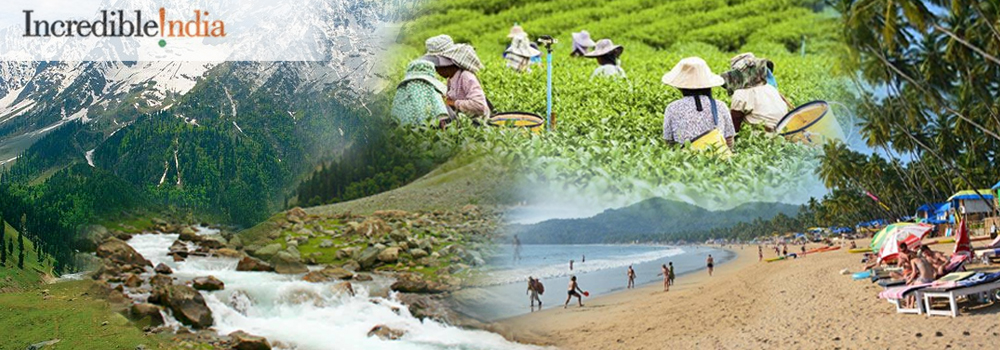 10 Amazing Summer Holiday Destinations in India